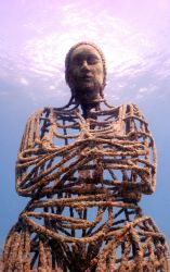 Sienna of the deep, part of sculpture park in Grenada. ni... by Jason Taylor 